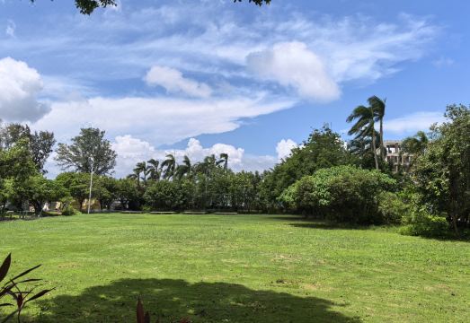 선전 홈스테이 전경