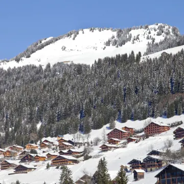 Résidence Odalys les Fermes de Châtel