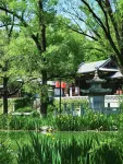 โรงแรมเฮลโล (เมืองโบราณชิงโจว · พิพิธภัณฑ์ชิงโจว สาขา) - วิว