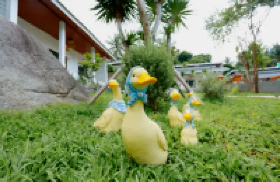 巖石與月亮精品別墅