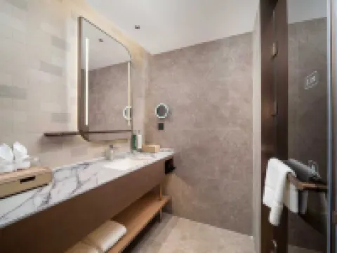 金湖希爾頓花園酒店 金湖酒店