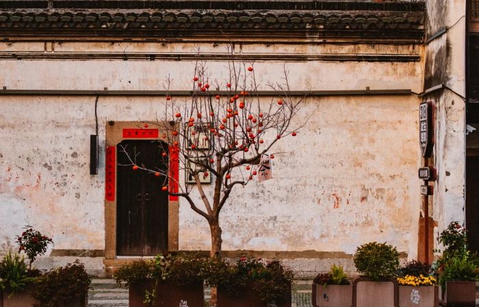 Xiyue Yaju Homestay (Nanmen Branch of Nanxun Ancient Town Scenic Area)