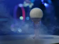 ザ・カハラ・ホテル＆リゾート 横浜 - 5つ星