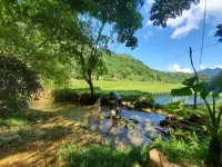 Thai House Heritage Pu Luong - internet