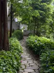 Qingcheng Mountain Suxi Qingshan Forest Homestay - واي فاي