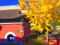 Holiday Inn Guanrong Chengde Mountain Resort - Bergblick