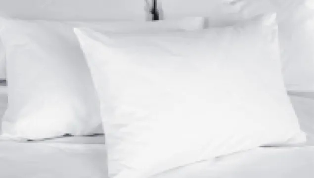 Hotel des Grands Voyageurs