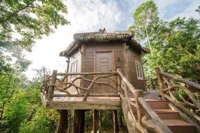 Huanglongxi Happy Pastoral Wild Fun Hotel Hotels near Huanglongxi Town