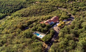 an aerial view of a house surrounded by trees and a swimming pool , with a road leading to the front door at Le Bois d'Imbert