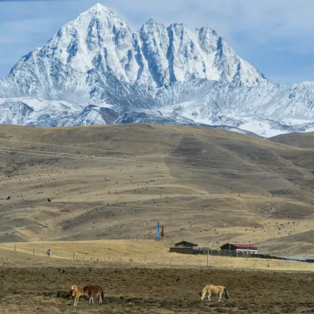 Laga Pasture