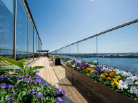 Hotel Saint Petersburg Hotels in Saint Petersburg