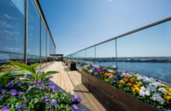 Hotel Saint Petersburg Hotels in Saint Petersburg