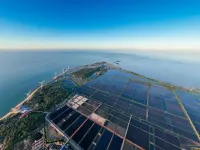 Leafy House (Coral Pavilion Tourist Area Branch)