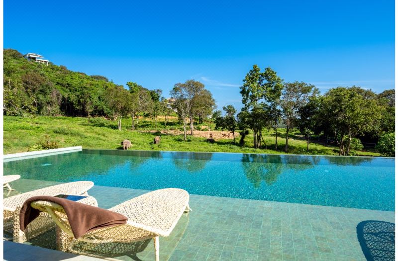 Wild Cottages Elephant Sanctuary Resort photo 5