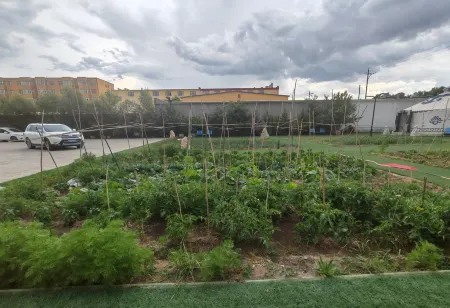 Wuyingga Homestay Отели в г. Сивуци