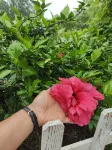 Hulin Yuanyuajia Homestay - Wifi