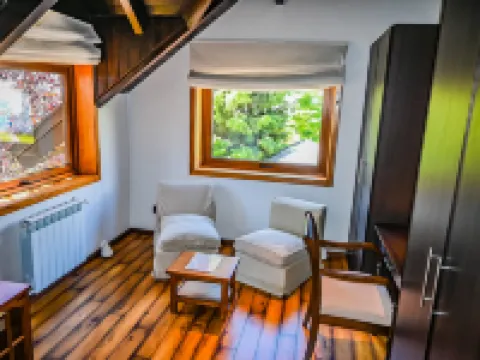 火爐旅館&水療中心 聖馬丁德洛斯安第斯酒店