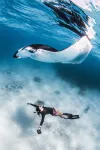 Four Seasons Resort Maldives at Landaa Giraavaru Hotels in Kihavah