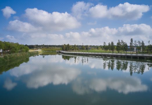 1. 상하이 린강 오..