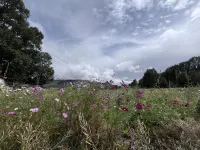 Daofu Xiangbaling Homestay