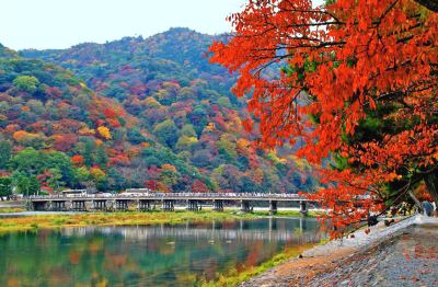 ホテルからの眺望 谷町君・星屋・【談山旅館・夜晴】の写真