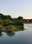 Dongyuan summer Yun homestay