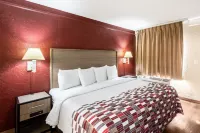 Red Roof Inn Tampa Bay - St. Petersburg فنادق في بينيلاس بارك
