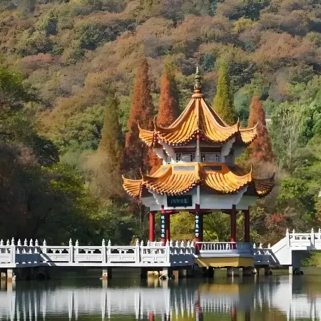 Dui Guiyuan Outdoor Homestay (Yuquan Temple Scenic Area Branch), Dangyang