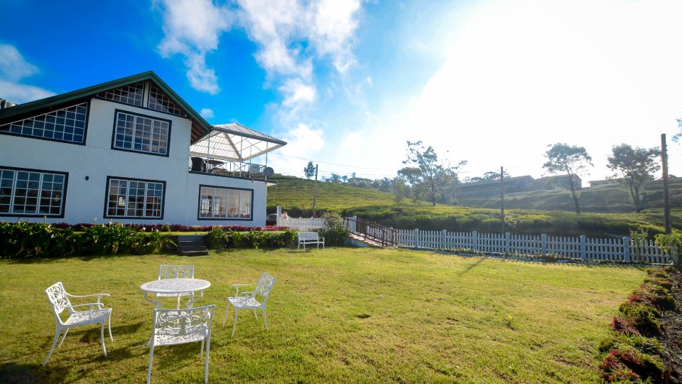 The Tea Garden