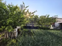 Kurdish Ning Dream Homestay