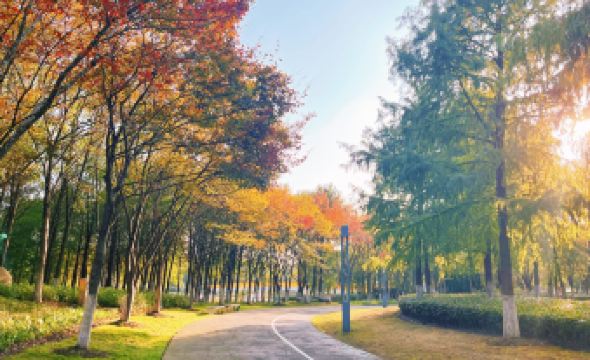 Radisson Collection Lingang Shanghai