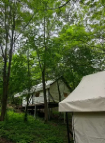 Qiongqia Firefly Forest Camping Hotel Hotels near Zhongcha Ditch