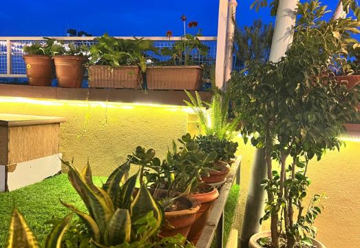 로즈마리 호스텔