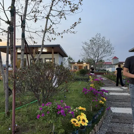 Tai'an Wenhe Equestrian Camp Homestay