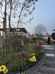 Tai'an Wenhe Equestrian Camp Homestay