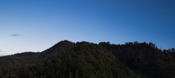 Pine-Shaded Hotel Hotels in Leishan