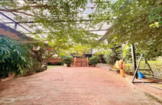 檳城 Head Batas 泳池邊佩塔帕丁小屋