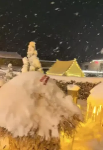 雪谷陽陽客棧 酒店