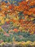 YINSHAN YUNSHE BOUTIQUE HOMESTAY - Romantic