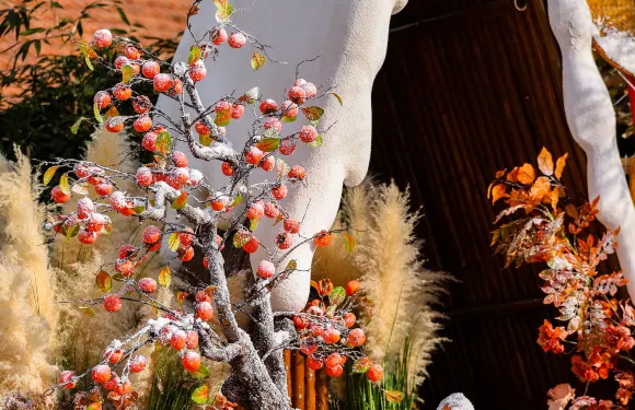 酉旅宿集·仙居嶗山詩酒文化主題小院（嶗山風景區店）