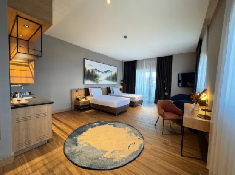 パーク デデマン コンヤ のホテル