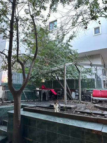 Cozy Room in Heart of Istanbul Hotels in 