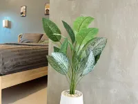 My Dear Hotel Hotels in Amphoe Muak Lek
