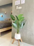 My Dear Hotel