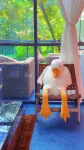 Heshan Songjian Mountain Residence Homestay