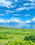 Sayram Lake Mountain Wild Lakeview Homestay - 애견동반