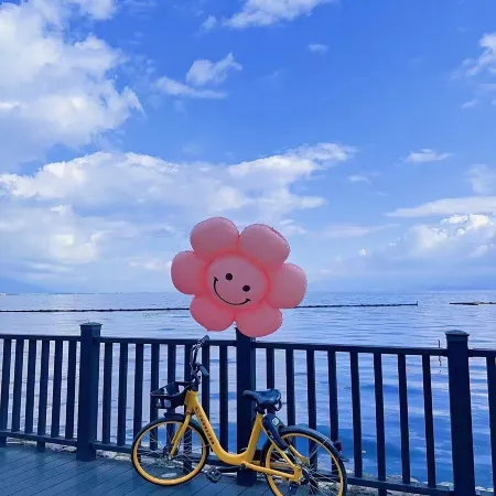 Dali Xingyu Seaside Homestay (Erhai Caicun Branch)