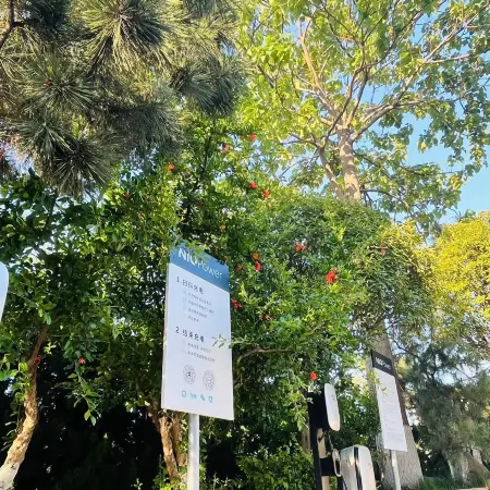 Buena Vista Peninsula Hotel Yantai