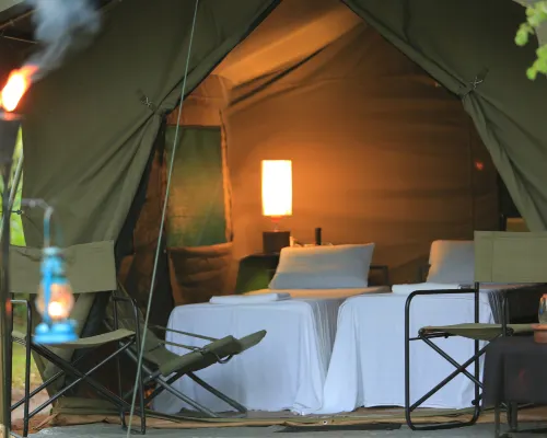 亞拉大型遊戲酒店-生態團隊 莫訥勒格勒區酒店