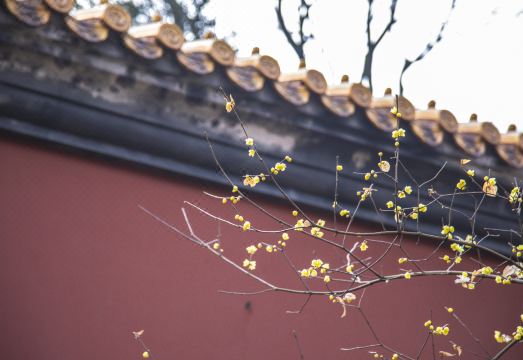 난징 국제 회의 호텔 조식